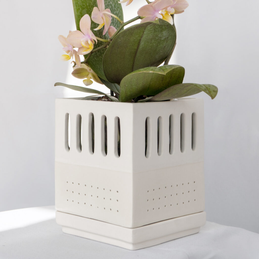 Vaso per orchidee