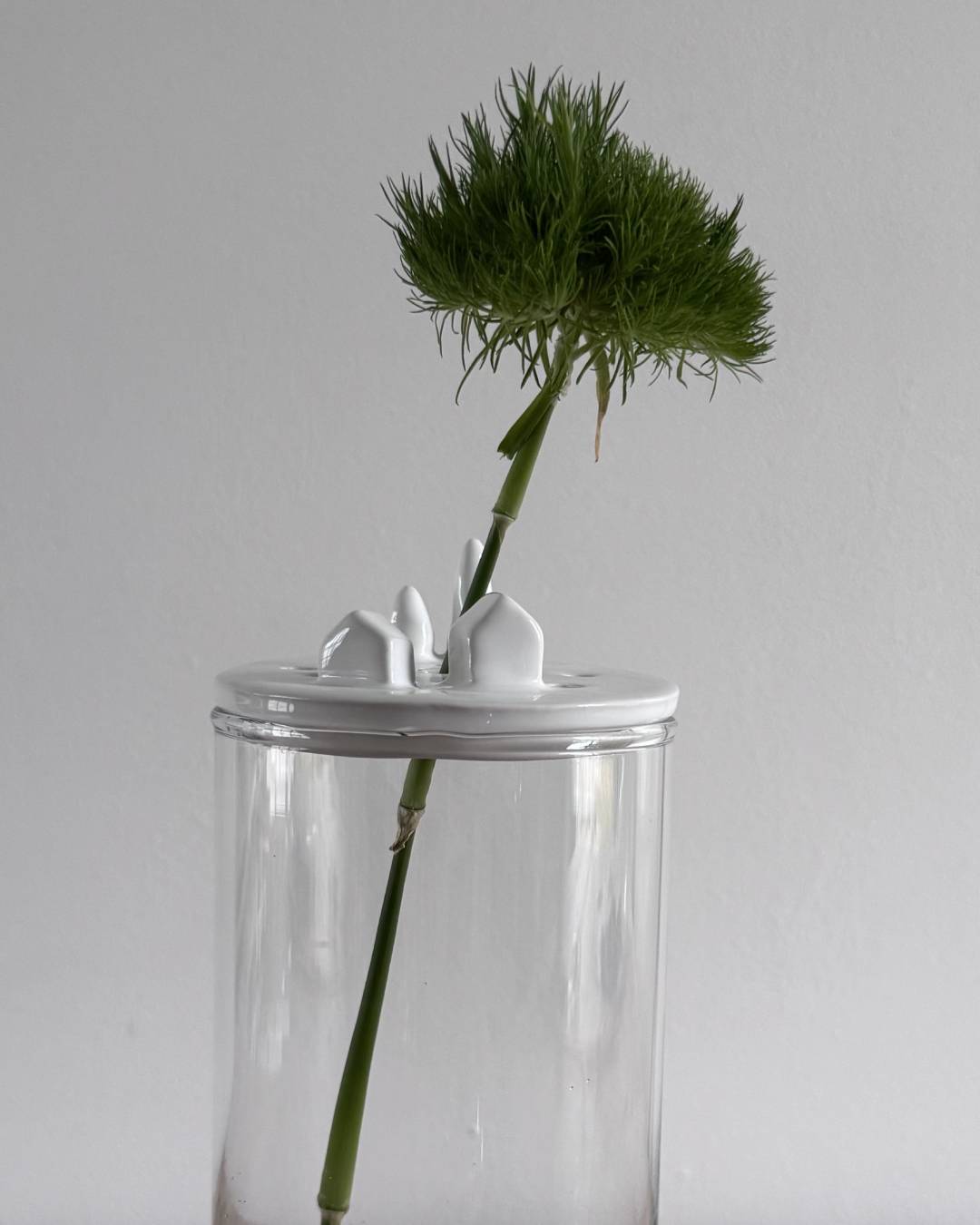 Paesaggi Sospesi diametro 8/10/12 ikebana - immagine 4